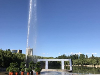 29歲通過了一級建造師一級造價師，我該選擇預算員還是施工員？