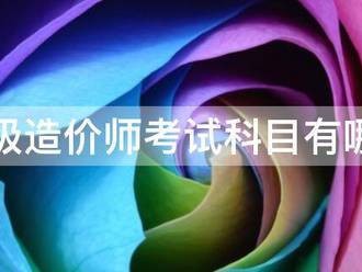二級(jí)造價(jià)師考試科目有哪些