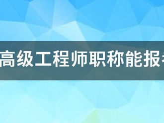 我只有高級工程師職稱能報考注冊監理工程師嗎?謝謝