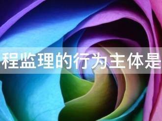 工程監理的行為主體是誰
