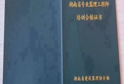 主導(dǎo)專業(yè)監(jiān)理工程師,專業(yè)監(jiān)理工程師屬于什么層