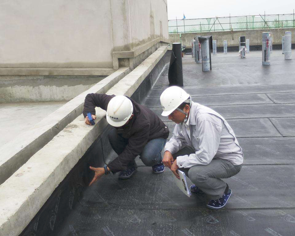 建筑防水工程現(xiàn)場(chǎng)檢測(cè)技術(shù)規(guī)范,建筑防水工程  第2張