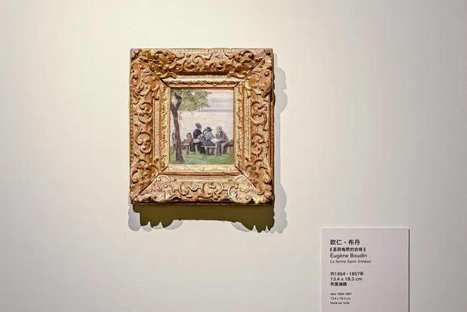 樹(shù)林骨架,樹(shù)林骨架官網(wǎng)  第1張