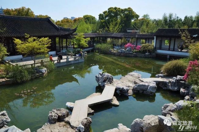 網易園林論壇網址網易園林論壇  第1張